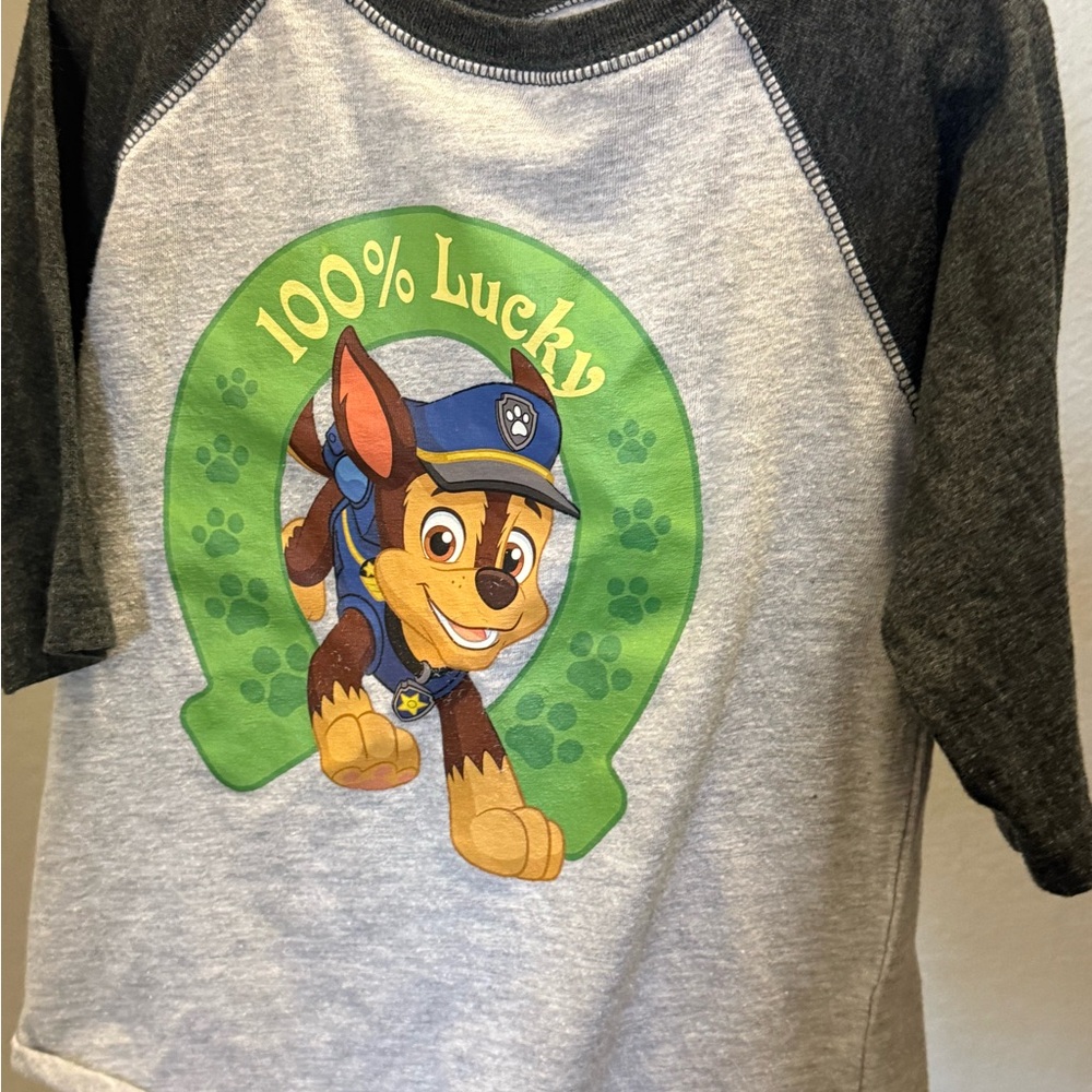 Paw Patrol Gray and Black Tee with Lucky Design